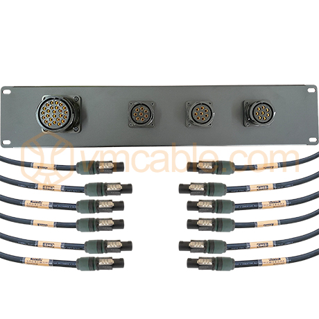 P2K25-3K2-NL4 custom, 19 inch Pannel, 1x 25-pol female, 3x 8-pol female, 12x Neutrik NL4FXX-W-L